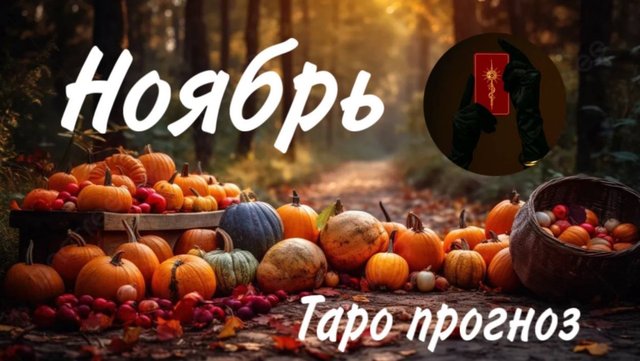 НОЯБРЬ. ТАРО прогноз