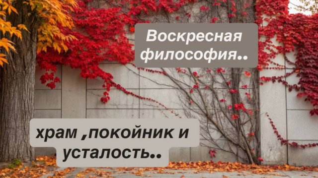 Воскресные размышления..