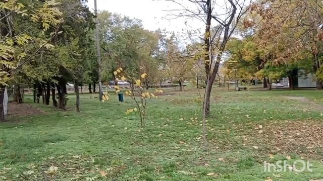 25 октября-Ейск после дождя☔ Свадьба... "Плюс" нашей квартиры...Букетики...