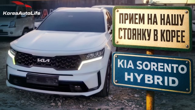 Прием KIA Sorento Prestige 2WD Hybrid HEV 1.6 2WD 5 мест. на нашу стоянку в Корее