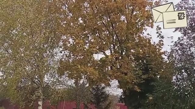 Красивейшая песня про осень и чувства💘