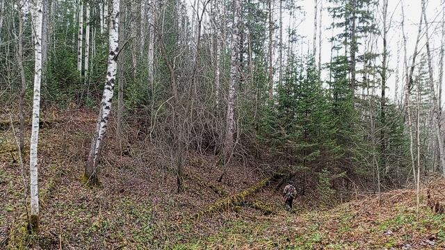 добыл рябчика