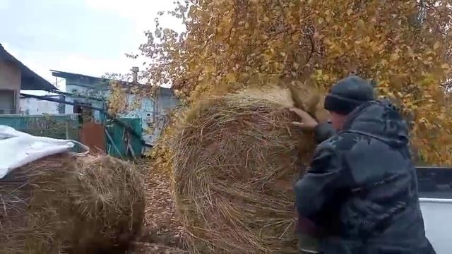 УПРАВЛЯЮСЬ.НАРЕЗАЛА ТЫКВЫ.ПОЖАРИЛА рыбу.Жизнь в деревне.