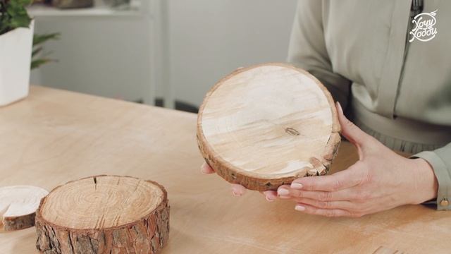 Основы ландшафтного дизайна