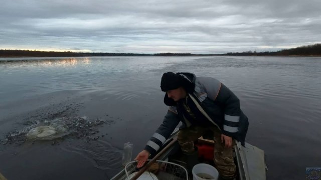 Осенняя рыбалка на продольники \ Начало есть
