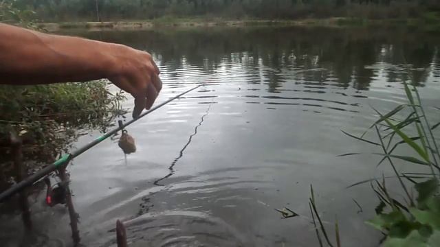 Живи пока живется