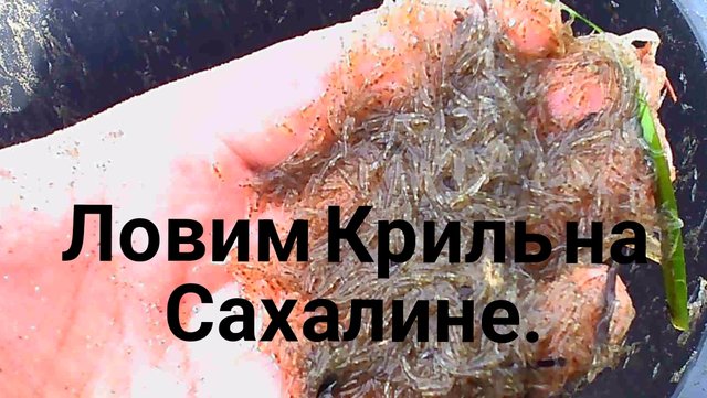 Прикормка #для#Корюшки#Холмск#Сахалин #Рыбалка.