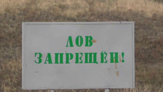 РЫБАЛКА НА ОКУНЯ В ЗАПРЕЩЁННЫХ МЕСТАХ.