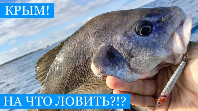 Баракури, пилькера, стрейч - или натуральная наживка? Осенняя рыбалка в Севастополе!