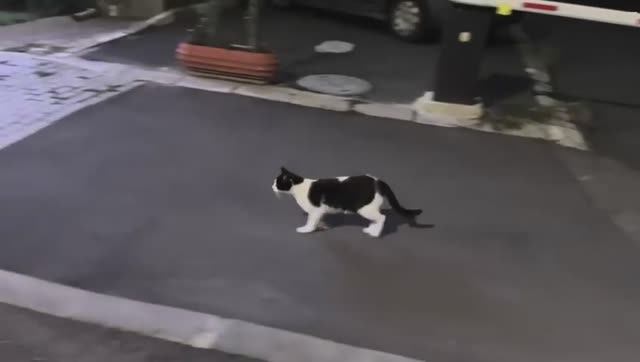 Беженец🇧🇬Несебр. В ГОСТЯХ НА ШУБЕ У ПОДПИСЧИКОВ! У ТАНИ БУСИФИЦИРОВАЛИ.  НАШЕ ЧЕРНОЕ МОРЕ. (48