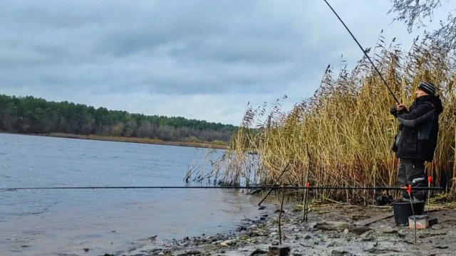 В таких местах водятся Лещи .Половил от души. Фидерная ловля леща поздней осенью на погонах.