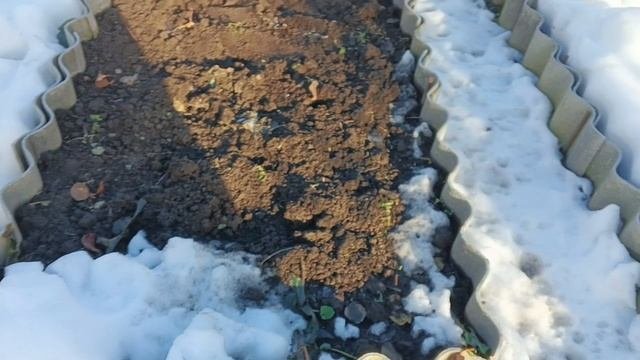 Съездила на дачу, растроилась.Порядка нет, погода начудила