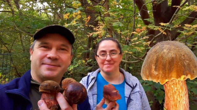 За грибами с Леной.Дубовички, белые грибы, подберёзовики.