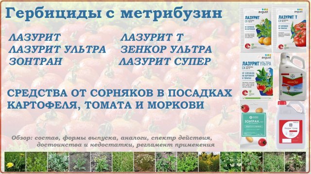 Лазурит, Зонтран и Зенкор - средства от сорняков в посадках картофеля,томата и моркови. Обзор