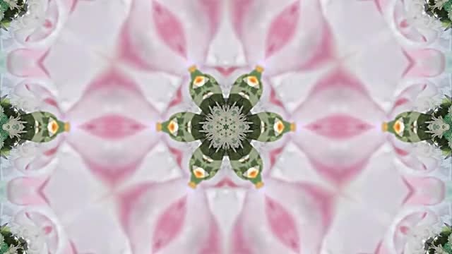 Видеофоны! Видеофон Осенняя цветочная фантазия 10 от Киностудии Мудрого Кота Тимофея!