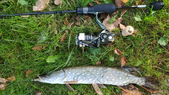 Приток Десны. Нано-микро джиг утром 16 сентября 2025 года