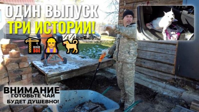 Начали стройку🏗️, проводили сестру👷♀️ и спасли собаку🐕! Один выпуск - три истории!