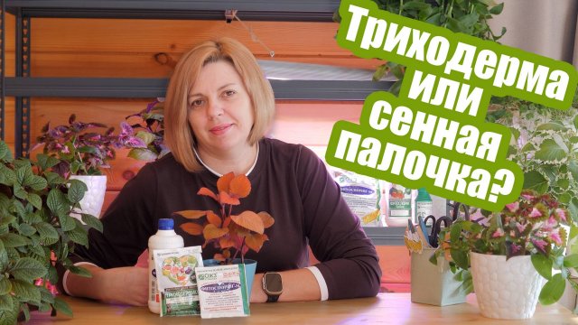 Можно ли смешивать сенную палочку и триходерму Грибы и бактерии для защиты растений