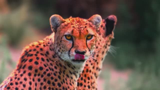 КРАСИВАЯ РЕЛАКС МУЗЫКА ДЛЯ РАССЛАБЛЕНИЯ И ОТДЫХА