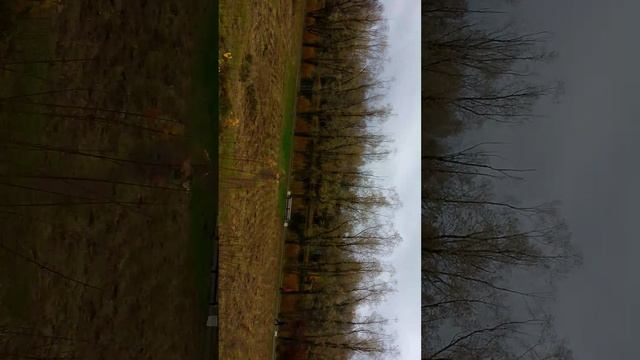 Английский парк