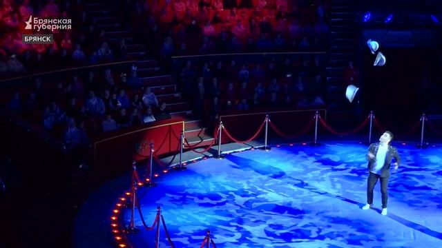 Грандиозная премьера в Брянском цирке покорила сердца публики