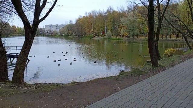 ОСЕННЕЕ СОЛНЦЕ