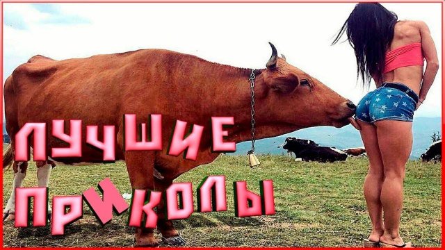 СМЕШНЫЕ ВИДЕОПРИКОЛЫ |Смешные видео с людьми | Я РЖАЛ ДО СЛЕЗ|ПОДБОРКА ПРИКОЛОВ