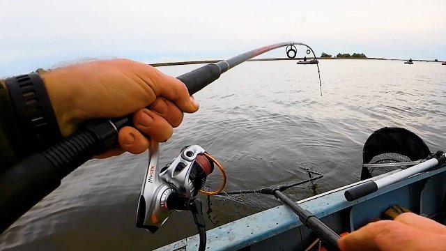 Ловля на донку на Дону! Смена тактики - и вот он улов! Сазан, лещ и карась!