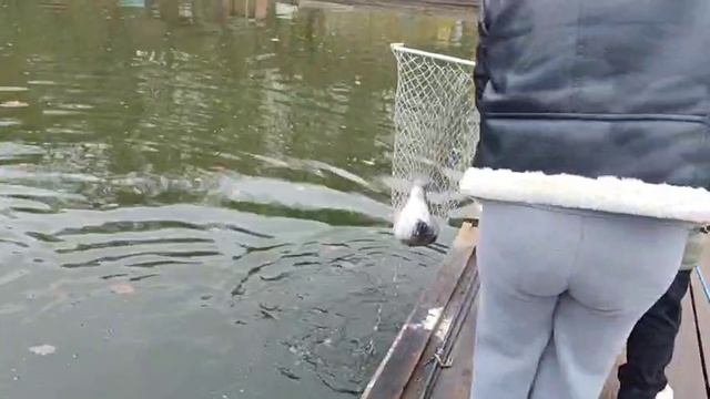 Зачётная мамка