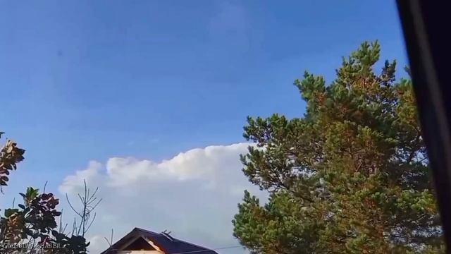 Неудачные дубли 2024-2025 год.