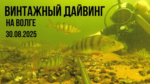 Винтажный дайвинг в маске ВМ-5. Волга, 30.08.2025. ----- Vintage diving with a VM-5 mask. Volga