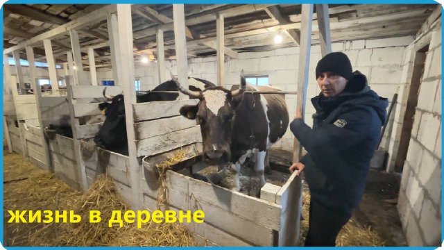 ВСЯ ДЕРЕВНЯ ГОТОВИТСЯ К ЗИМЕ И МЫ НЕ ИСКЛЮЧЕНИЕ, ЖИЗНЬ В ДЕРЕВНЕ