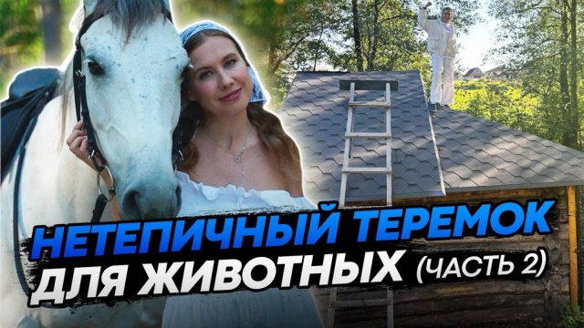 СТРОЮ НЕТИПИЧНЫЙ ТЕРЕМОК ДЛЯ ДОМАШНИХ ЖИВОТНЫХ СВОИМИ РУКАМИ | Хватит ли 1.500.000 на мини-ферму?