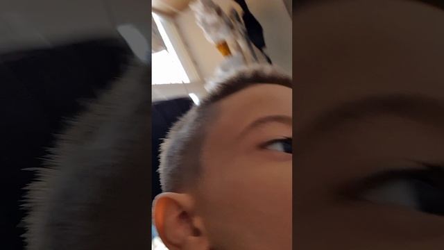 как ана нашла