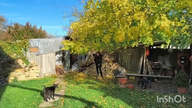 Небольшая уборка на участке. 30.10.2025