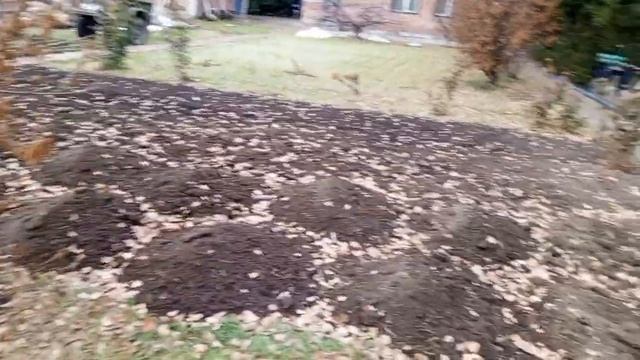 Сибирский огород.Подготовка к зиме