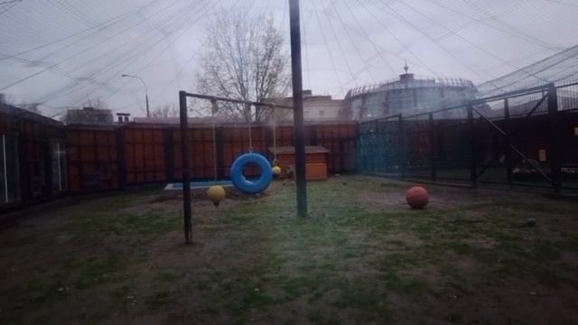 ETMZ1561 Шархан 30.10.2025 Видео от Ивана