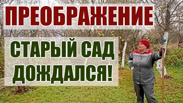 49. ПРЕОБРАЖЕНИЕ СТАРОГО САДА! НАВОДИМ ПОРЯДОК НА УЧАСТКЕ.