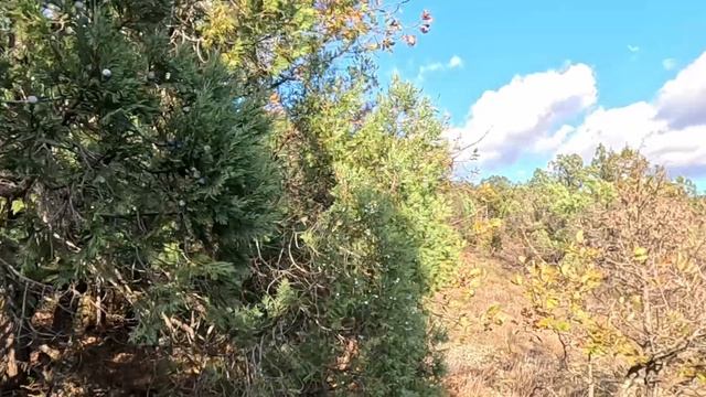 От Кипарисового озера к замку Львиное сердце через гору. Анапа.