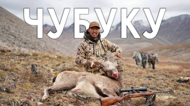 ГОРНАЯ ОХОТА на ЯКУТСКОГО СНЕЖНОГО БАРАНА - ЧУБУКУ