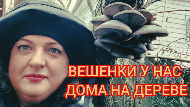 ВЕШЕНКИ У НАС ДОМА НА ДЕРЕВЕ