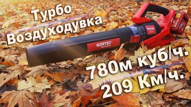 Просто хорошая дуйка WORTEX