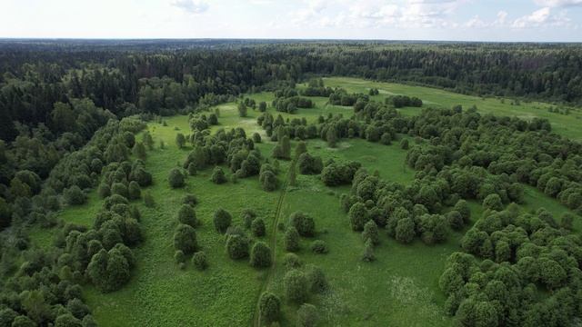 Малахитовые дачи