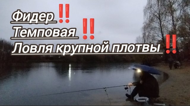 ФИДЕР РЫБАЛКА ЛОВЛЯ КРУПНОЙ ПЛОТВЫ ОСЕНЬЮ