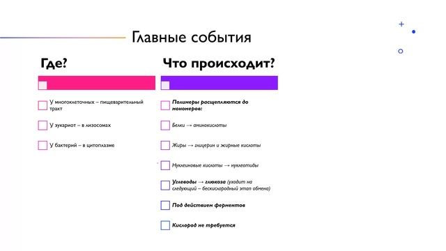 Встреча в Телемосте 22.10.25 18-54-20 — Лера Э.О 1 этап