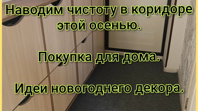 Наводим чистоту в коридоре/Покупка для дома/Идеи новогоднего декора/