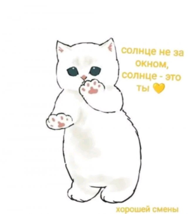 привет ✌️ всем