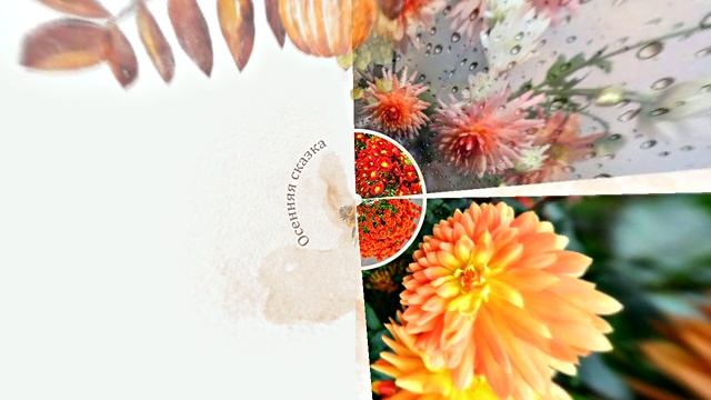 Осенние цветочные чудеса 2! Яркие осенние волшебные краски!!