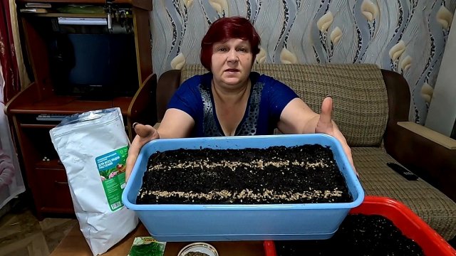 🌱 ОГОРОД НА ПОДОКОННИКЕ!! Сделайте так и всю Зиму будете с Укропом!!