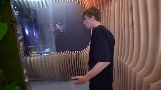 Экстремальные КАМУФЛЯЖНЫЕ Прятки с ПОДПИСЧИКАМИ !